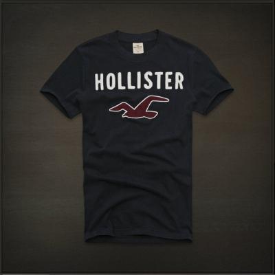 Hollister Men Shirts-423